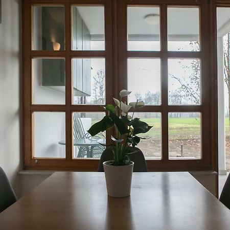 Apartma Spelca Banovci Esterno foto